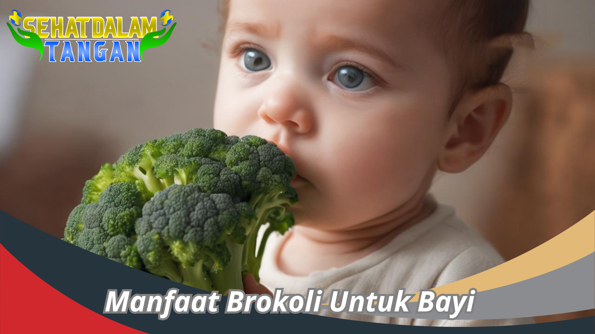 Manfaat Brokoli untuk MPASI