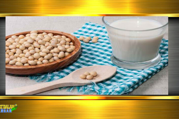 Ragam Manfaat Kacang Kedelai untuk Kesehatan