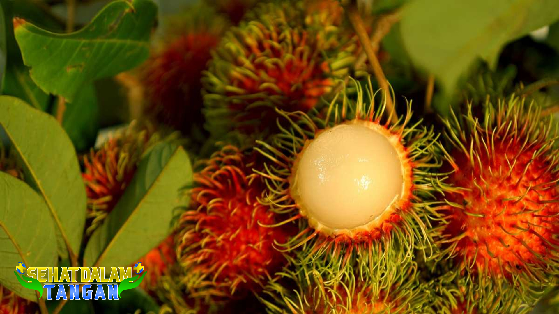 6 Manfaat Buah Rambutan untuk Kesehatan